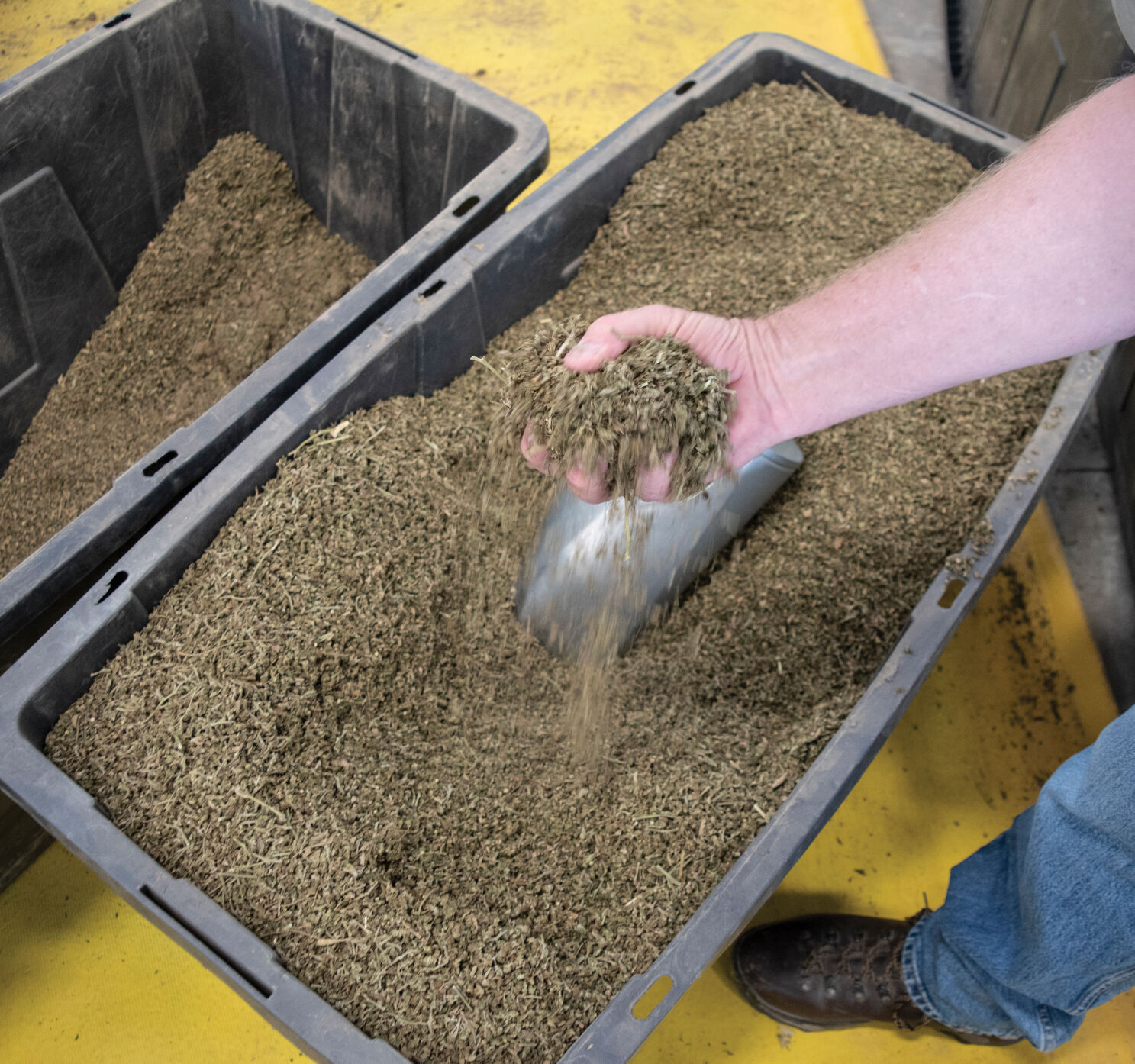 Western Slope hemp processor sold; General Processing becomes part of Kadenwood Brands